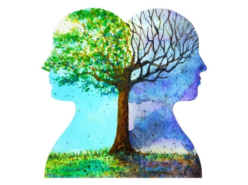 Illustration of a tree with one side barren and one side with green leaves - representing a healthy memory and an unhealthy memory